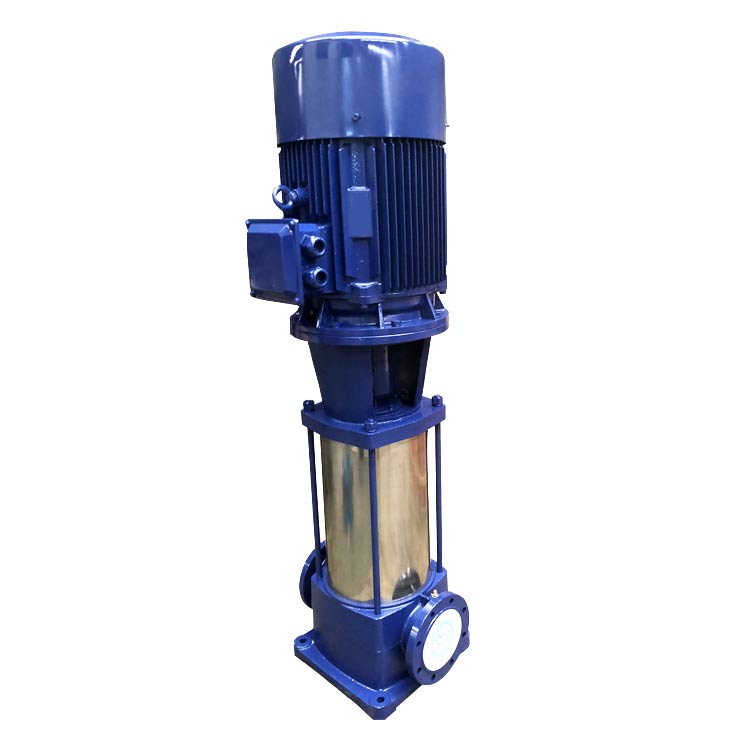  Vertical multistage centrifugal pumps